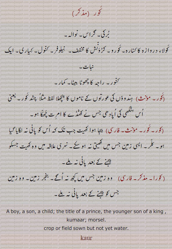 کور,برکی,گراس,کورا,کنور,کمار,کورو,بنجر زمین
کلر۔ راجہ کا چھوٹا بیٹا۔ نوالہ
boy. son. child. prince. younger son king. kumaar. morsel. crop field sown but not yet water.  