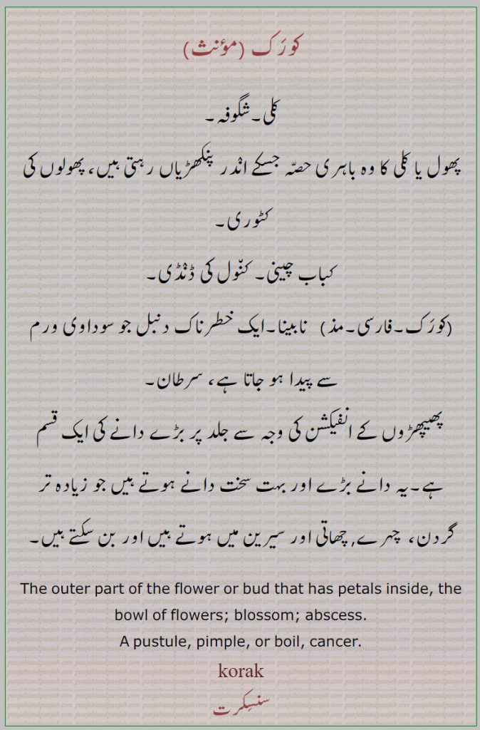 کورک ,korak  ,ਕੋਰਕ,کلی۔ شگوفہ۔ کٹوری پھول کی۔ کباب چینی۔ کنول ڈنڈی۔ سرطان۔ پھیپھڑوں کی انفیکشن۔سے دانے جو گردن چہرے سیرین پر ،نابینا۔ دنبل جو سوداوی ورم۔outer part of flower or bud, blossom abscess. pustulw. pimple. boil, cancer korak