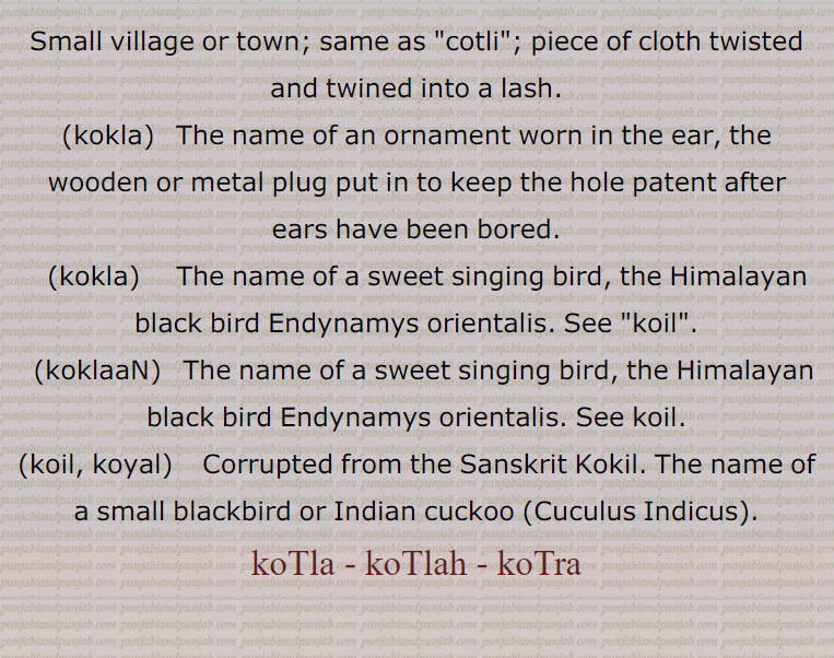     کوٹلا, کوٹلَہ, کوٹڑا  ,kotla,kotlah, kotra, ਕੋਟਲਾ, ਕੋਟਲਹ, ਕੋਟੜਾ, ਕੋਰੜਾ,ਕੋਲੜਾ,ਕੌੜਾ, ਕੋਟਲੀ,ਕੋਰੜਾ ਛੰਦ,ਗੋਕੜਾ, کورڑا,کولڑا,کوڑا, کوٹلی,کورڑا چھند,گوکڑا,kokla, ਕੋਕਲਾ,kokla, ਕੋਕਲਾ ,koklaaN, ਕੋਕਲਾਂ, Endynamys orientalis,koil, koyal,  ਕੋਇਲ, ਕੋਯਲ, blackbird , Indian cuckoo ,Cuculus Indicus,کوکلا, کوکلاں,گوکڑا,  
small village. town. cotli. piece cloth twisted twined into lash. earring. wooden or metal plug in ear. name of sweet singing bird. himalayan black bird endynamys orientalis. koli. kokli. indian cuckoo. cuculus indian.
Traditional Ornaments of Punjab,Jewellery,jewelry,zaiwar,زیور, ,گہنا,بُھوکھن,النکار,ٹُوم,ٹومب,ٹونب چھلا 