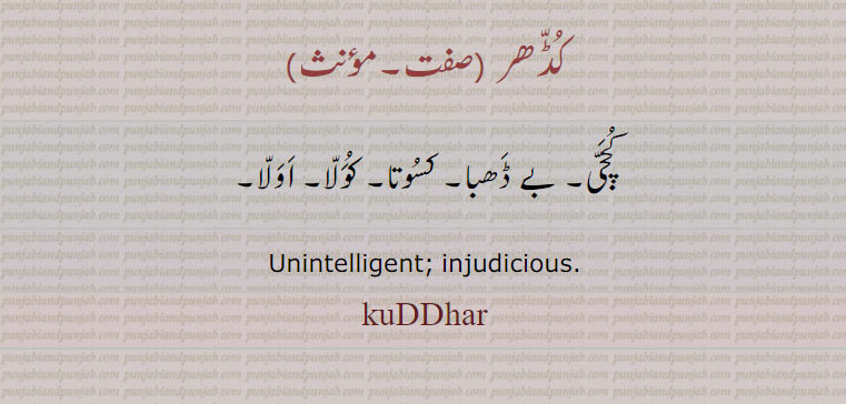   کچجی۔ بے ڈھبا۔ کسوتا۔ کولا۔ اولا
 کڈھر ,kuDDhar ,ਕੁਡੱਹਰ,unintelligent, injudicious,