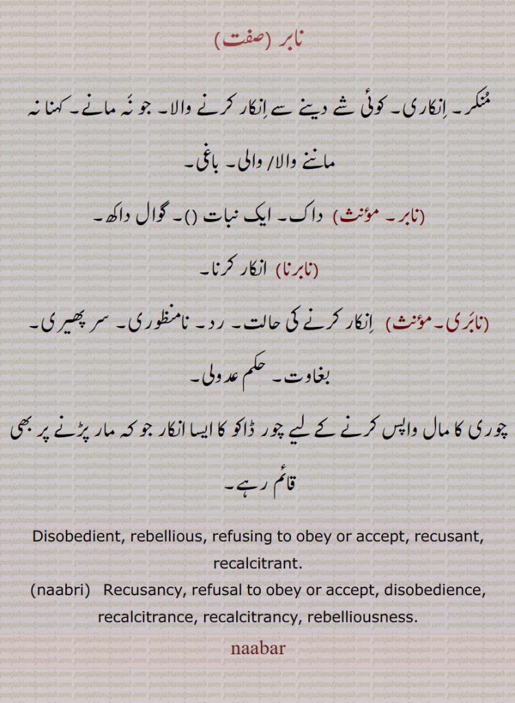 نابر ,نابری,نابرنا, ,naabar, ਨਾਬਰ, naabri,  ਨਾਬਰੀ,nabar. disobedient. rebellious. refusing obey . recusant. بغاوت۔ نامنظوری۔ حم عدولی۔ گوال داکھ۔ باغی۔منکر۔ دینے سے انکار۔