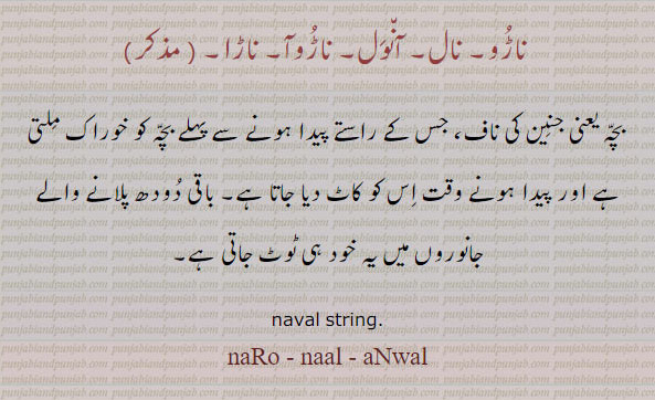 naRo, naal, aNwal,ਨਾਫ਼, ਧੁਨੀ ,