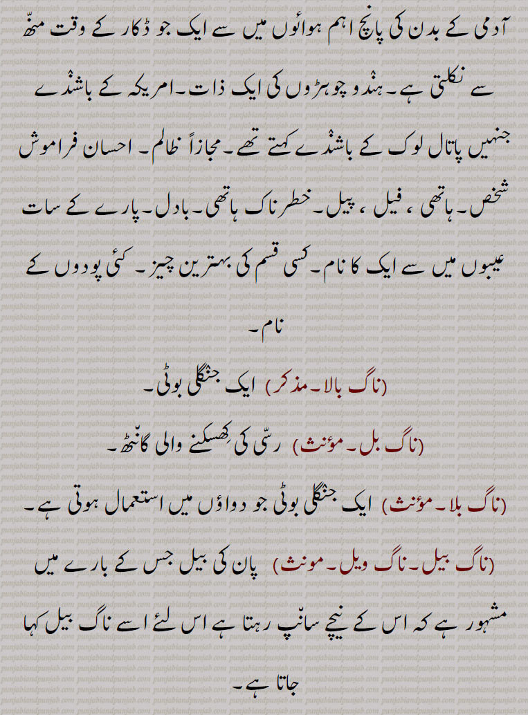 سپ دیوتا,ناگ پھنا,ناگ پھنی۔ناگ پھن,تھوہر,ناگ پھنی,ناگ کھند,ناگ تھنی,ناگ پھنی تھور, ناگ پھنا تھوہر, چھتر تھور,ناگ دون,ناگ ڈون,ناگ دنا,ناگ دمنی,ناگ دونی,بن چاگلی,شاگلی, تھناری,سلوکیر,