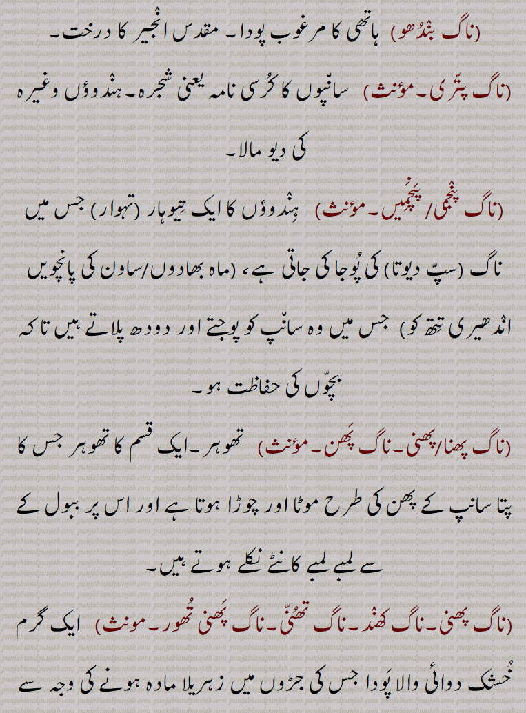  سائی,تندیئی,تلہنگ, تلہانا, تلینا۔ پولمو۔ اوکلو۔ تنانا زنانی,ناگ دمنی,ناگ دونا,ناگ سر گڈھ۔ناگ سرمگڈھ,