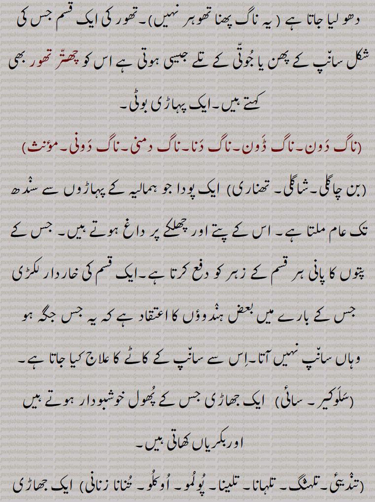 اسمنگل گنڈا,ناگ کیسر۔ناگ کیشر۔ناگ پشپ,ناگ پھنی سینڈھ,ناگ جِوہا ,ناگ جہوا,ناگ چنپا۔ناگ چمپا۔ناگ چمپک۔ناگ پشپی, بستانی چنپا,ناگ رنگ,ناگ متی,  کالی تلسی,ناگ دنتی,ناگ منی, ناگ نوں کیلاں پانا۔