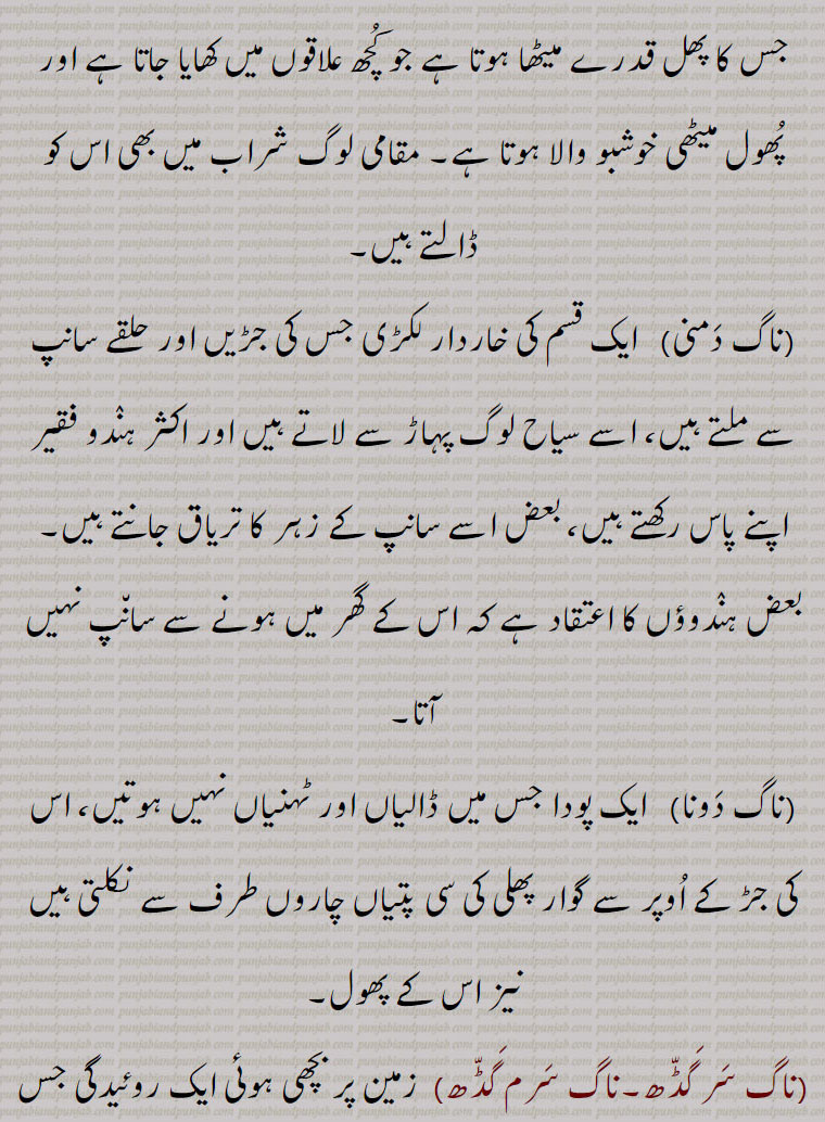 ناگ کیلن,ناگنیاں نال عاشقی کرنا,ناگ لوک,ناگ وال,ناگ پال,ناگ پَتنی,ناگ پھانس۔ناگ پھاس,ناگ دنت,