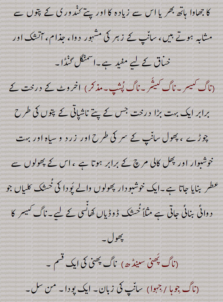 ناگ دَت,ناگ دیوتا,ناگ ڈنڈ,ناگ راجہ,ناگ رکت, سیندور,ناگ سر,ناگ کھیلنا,ناگ لگنا,ناگ کرن,ناگ کنیا,ناگ کھلانا,ناگ موڑ,ناگن۔ناگنی,ناگ کا ڈسا پانی نہیں مانگتا,ناگ,ناگا, 