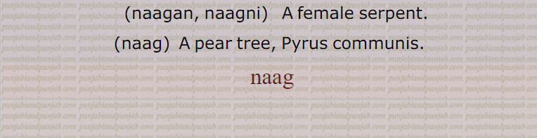  Ficusreligiosa,naagkesar,Mesua ferra,naagpaNchmi,naagpatri,naagphanni khand,Arum companulatum,naag jivha, naag jihva,  Aselepias Pseudosarca,naagan,naagan, naagni,female serpent,nag,,