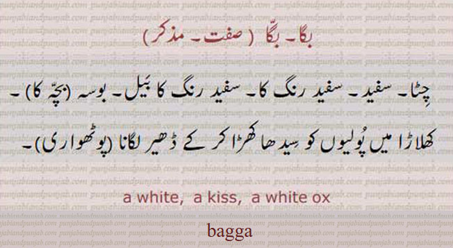 bagga, baga, بگا ,ਬਗਾੱ ,چٹا۔ سفید۔ سفید رنگ کا بیل۔ بوسہ۔ کھلاڑا میں پولیوں کو سیدھا کھڑا کر کے ڈھیر۔
bagga, ਬਗਾੱ ,White,A white ox; a kiss.