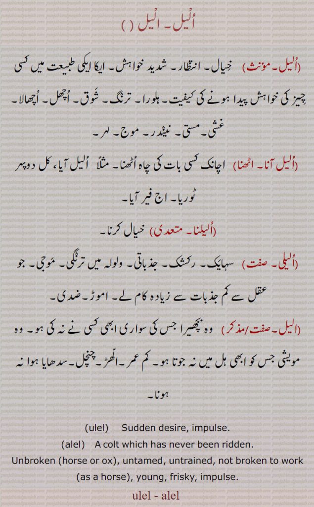  الیل,اولیل,ulail, alel, ,الیل آنا,الیل اٹھنا,الیلنا,الیلی ,اولیل آنا,اولیل اٹھنا,اولیلنا,اولیلی, خیال۔ انتظار۔ خواہش، ہلورا۔ ترنگ۔ شوق۔ اچھل۔ اچھالا۔ غشی۔ مستی۔ نیندر۔ موج۔ لہر۔ چاہ۔ سہایک۔ رکشک۔ جذباتی۔ ولولہ میں ترنگی۔ موجی،۔ عقل سے کم جذبات سے زیادہ کا لے۔ اموڑ۔ ضدی۔ وہ بچھیرا جس کی سواری ابھی کسی نے نہ کی ہو۔ مویشی جس کو ہل میں ابھی نہ جوتا گیا ہو۔ کم عمر۔ الھڑ۔ چنچل۔ سدھایا ہوا نہ ہو۔

ulel, alel,ਉਲੇਲ,ਅਲੇਲ, alel  
, ਅਲੇਲ s. m. A colt which has never been ridden;—a. Not broken to work (as a horse).sudden desire. impulse. colt which has never been ridden. frisky, young.