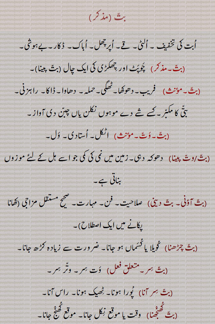 بت, الٹی, قے, اپرچھل, اباک,بےہوشی,چوپٹ اور چھکڑی کی ایک چال, فریب,دھوکھا,ٹھگی,
بتی کا مکبر,اٹکل, استادی,بت/وت پینا,زمین میں نمی کی کمی جو اسے ہل کے لئے موزوں بناتی ہے,بت آؤنی, بت دینی, صلاحیت, فن,بت چڑھنا,کویلا یا کسماں ہو جانا, ضرورت 