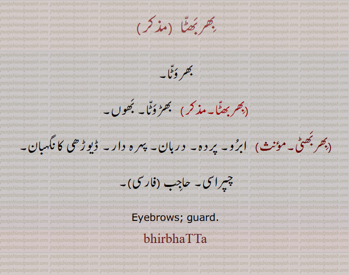 بِھربَھٹّا ,بھروَٹّا,بِھربھٹّا,   بھڑوَٹّا, بَھوں,بِھربَھٹی,   ابرُو, پردہ, دربان, پہرہ دار, ڈیوڑھی کا نگہبان, چپراسی, حاجِب,Eyebrows, guard,bhirbhaTTa,