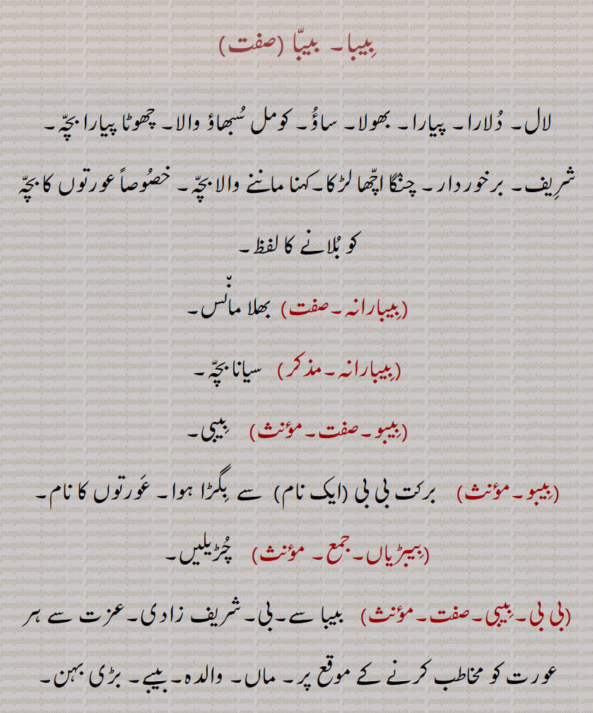       بیبا ,بِیبا, بِیبارانہ, بِیبو, بِیبڑیاں, بی بی,بِیبی,بی بی بائی دی پِینٛگ ,بی بی داڑھی, بی بی طارق دا چُلّھا, بی بی فاطمہ کی صحنک, بی آسہ دا کاسہ, آس بی بی دی ٹِکّیاں, بی تُرت پُھرت دی پوڑِیا۔ بیبی طارق دا چلھا۔,
