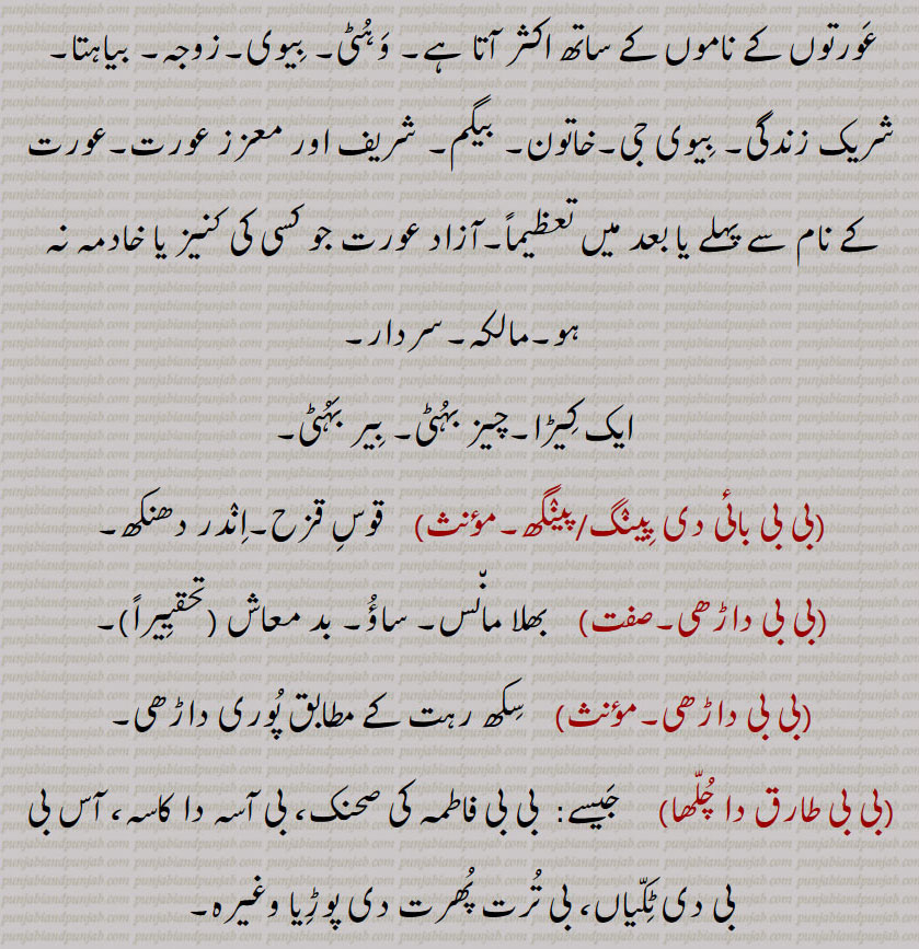 لال۔ دلارا۔ پیارا۔ بھولا۔ ساؤ۔ کومل سبھاؤ والا۔ چھوٹا پیارا بچہ۔ شریف۔ برخوردار۔ چنگا مڈا۔ لڑکا اچھا۔ کہنا ماننے والا بچہ۔ عورتوں کا بچہ کو بلانے کا لفظ۔ بھلا مانس۔ سیانا بچہ۔ بیبی۔ برکت بیبی سے بگڑا۔ عورتوں کا نام۔ چڑیلیں۔ ۔ شریف زادی۔ عزت سے ہر عورت کو مخاطب کرنا۔ وہٹی ووہیٹی۔ بیوی۔ زوجہ۔ بیاہتا۔ شریک زندگی۔ بیوی جی۔ خآتون۔ بیگم۔ معزز عورت۔ عورت کے نام کے ساتھ۔ آزاد عورت ۔ مالکہ۔ سردار۔ ایک کیڑا۔ چیز بہٹی۔ بیر بہٹی۔قوس قزح۔ اندر دھنکھ۔ بدمعاش۔ سکھ رہت کے مبابق پور داڑھی۔ بیبی فاطمہ کی صحنک۔ بی آسہ کاسہ۔ آس بیبی دی ٹکیاں۔ بی ترت پھرت دی پوڑیا۔
