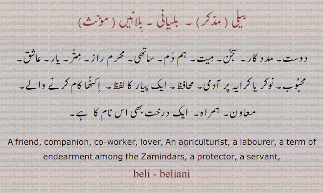 ਬੇਲੀ s. m. A friend, companion; co-worker; lover; An agriculturist, a labourer; a term of endearment among the Zamindars; a protector; a servant;beli.chum,  associate, بیلی۔ بلیانی۔ بلائیں۔ دوست۔ مددگار۔ سجن۔ میت۔ہم دم۔ ساتھی۔ محرم راز۔ متر۔ یار۔ عاشق۔ محبوب۔ بوکر۔ کریہ پر آدمی۔ محافظ۔ پیار کا لفظ۔ اکٹھا کام کرنے والے۔ معاون۔ ہمراہ۔ ایک درخت کا نام۔