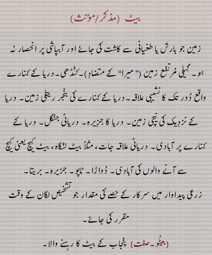 زمین کو بارش یا طغیانی سے کاشت کی جائے۔ گیلی مرتفع زمین۔ کنڈھی۔ دریا کے کنارے وقع دور تک کا نشیبی علاقہ۔ دریا کے کنارے بنجر ریتلی زمین۔نیچی زمین۔ دریا کا جزیرہ۔ دریائی جنگل۔ دریا کے کنارے آبادی۔ دریائِ علاقہ جات۔ دواڑا۔ ٹاپو۔ جزیرہ۔ بریتا۔ زرعی پیداوار میں سرکار کے حصے کی مقدار جو تشخیص لگان کے وقت مقرر کی جائے۔پنجاب کے بیٹ کا رہنے والا۔ ایک قوم یا ذات۔ بیٹ میں دریا کی پراز ریگ زمین۔ ضلع گجرات میں دریا کے کنارے کے ساتھ ساتھ۔بیٹ۔ 
