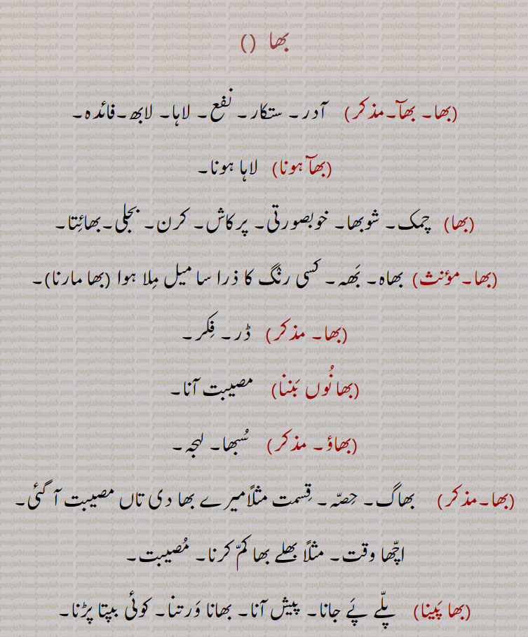 بھا۔ بھآ۔ آدر۔ ستکار۔ نفع۔ لاہا۔ لابھ۔ فائدہ۔بھا ہونا۔ لاہا ہونا۔ بھا۔ چمک۔ شوبھا۔ خوبصورتی۔ پرکاش۔ کرن۔ بجلی۔ بھائتا۔ بھاہ۔ بھہ۔ کسی رنگ کا ملا جالا۔ بھا مارنا۔ ڈر۔ گکر۔ بھا نوں بننا۔ مصیبت آنا۔ بھاؤ۔ سبھا۔ لہجہ۔ بھا۔ بھاگ۔ حصہ۔  اچھا وقت۔ پلے پے جانا۔ پیش آنا۔ بھا ورتنا۔ کوئی بپتا پڑنا۔ بھا ڈڈھ بھا۔ فصل کو پنج دونجی میں باٹنے کا ڈھنگ۔ پنج دو۔ ڈیڑھ حصہ جو کہ مالک زمین کا ہوتا ہے۔
 