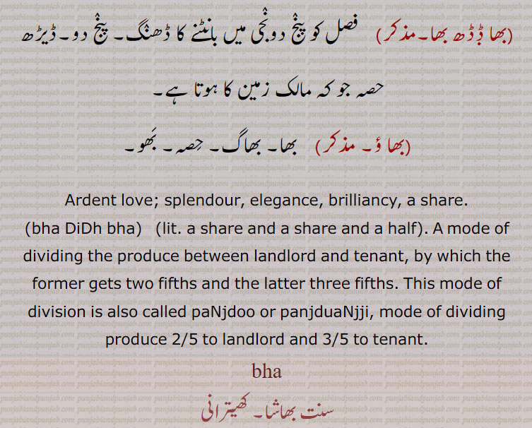 بھا۔ بھا ڈڈھ بھا۔ فصل کو پنج دونجی میں باٹنے کا ڈھنگ۔ پنج دو۔ ڈیڑھ حصہ جو کہ مالک زمین کا ہوتا ہے۔ بھاؤ۔ بھا۔ بھاگ۔ حصہ۔ بھو۔ 
Ardent love. splendour. elegance. brilliancy. share. bha didh bha. share and a share and a half, a mode of dividing. produce between landlord.  tenant. which th former gets two fifths and latter three fifths. mode of division is  also called panjdoo or panjduanjji. mode of dividing produce 2/5 to landlord and 3/5 tenant. bha