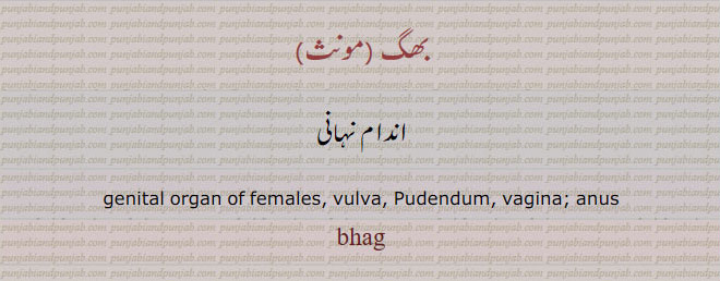 بھگ,اندام نہانی,ਭਗ,bhag, شرم گاہ