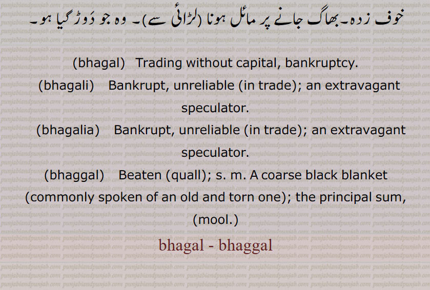 bhagal,  ਭਗਲ, bhagali,  ਭਗਲੀ, bhagalia, ਭਗਲੀਆ, bhaggal,  ਭਗੱਲ, bhagal, bhaggal, trading without capital. bankruptcy. bankrupt. unreliable. extravagant speculator. beaten quall. coarse black blanket principal sum 