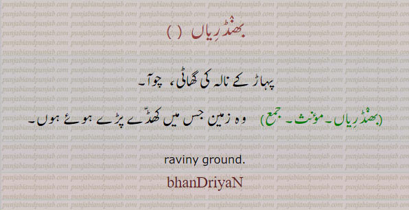 bhandriyan. raviny ground. پہاڑ کے نالہ کی گھاٹی۔ چوآ۔ بھنڈریاں۔ وہ زمین جس میں کھڈے پڑے ہوئے ہوں۔