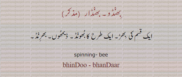 bhindoo. bindu. bhandaar. bhandar. spining bee. بھنڈ۔ بھنڈار۔ ایک قسم کی بھڑ۔ ایک طرح کا بھونڈ۔ ڈیموں۔ بھرنڈ