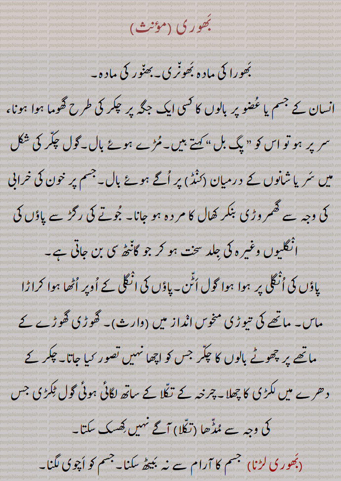 بَھوری,بَھورا کی مادہ بَھون٘ری,بھن٘ور کی مادہ,,انسان کے جسم یا عُضو پر بالوں کا کسی ایک جگہ پر چکر کی طرح گھوما ہوا ہونا، سر پر ہو تو اس کو ” پگ بل “ کہتے ہیں,مُڑے ہوئے بال,گول چکّر کی شکل میں سَر یا شانوں کے درمیان (کنٛڈ) پر اُگے ہوئے بال,جسم پر خون کی خرابی کی وجہ سے گھمروڑی بنکر کھال کا مردہ ہو جانا, جُوتے کی رگڑ سے پاؤں کی انٛگلیوں وغیرہ کی جِلد سخت ہو کر جو گان٘ٹھ سی بن جاتی ہے,,پاؤں کی اُنٛگلی پر ہوا ہوا گول اَٹّن,پاؤں کی انٛگلی کے اُوپر اُٹھا ہوا کراڑا ماس, ماتھے کی تیوڑی منحوس انٛداز میں (وارث), گھوڑی گھوڑے کے ماتھے پر چھوٹے بالوں کا چکّر جس کو اچھا نہیں تصور کیا جاتا,چکر کے دھرے میں لکڑی کا چھلا,چرخہ کے تکّلا کے ساتھ لگائی ہوئی گول ٹِکڑی جس کی وجہ سے مُڈّھا (تکّلا) آگے نہیں کِھسک سکتا,,بَھوری لڑنا,جسم کا آرام سے نہ بَیٹھ سکنا,جسم کو اَچوی لگنا,,بَھوری والا,نحس,,A ring or curl of hair, (man and some of the lower animals, as the horse); a corn on the toes; A wooden ring in the spindle of a wheel.bhaori, bhauri,ਭੌਰੀ