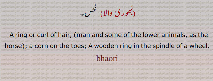 A ring or curl of hair, (man and some of the lower animals, as the horse); a corn on the toes; A wooden ring in the spindle of a wheel.bhaori, bhauri,ਭੌਰੀ