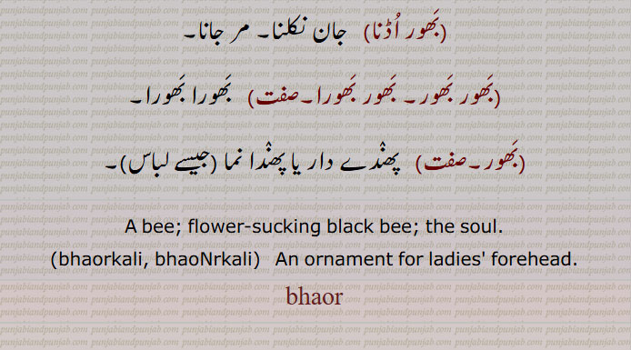 ,,بَھور اُڈنا, جان نکلنا, مر جانا,,بَھور بَھور, بَھور بَھورا, بَھورا بَھورا,,  پھنٛدے دار یا پھنٛدا نما (جیسے لباس),,A bee; flower-sucking black bee; the soul,bhaorkali, bhaoNrkali,   An ornament for ladies' forehead.,bhaor, bhaur, bhaurkali, bhauNrkali, ਭੌਰ
