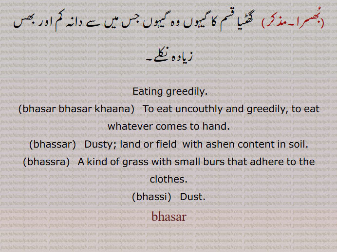 Eating greedily,bhasar bhasar khaana,bhassar,Dusty,hassra,   ਭੱਸਰਾ,A kind of grass,bhassi,   ਭੱਸੀ, Dust,بھسر ,bhasar, ਭਸਰ،Eating greedily,bhasar bhasar khaana,  To eat uncouthly and greedily, to eat whatever comes to hand, bhassar,Dusty; land or field  with ashen content in soil,bhassra,   A kind of grass with small burs that adhere to the clothes,bhassi,   Dust,bhasar,