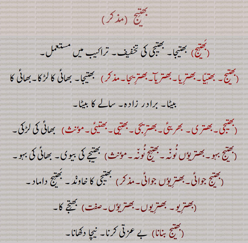 بھتیج۔ بھتٖیّا۔بھترِیا۔بھتریآ۔بھترِیجا۔   بھتیجا۔ بھائی کا لڑکا۔بھائی کا بیٹا۔ برادر زادہ۔ سالے کا بیٹا۔ بھتیجی۔بھتری۔ بھریئی۔بھترِیجی۔بھتِیی۔بھتیئی۔  بھائی کی لڑکی۔ بھتیج بہو۔بھتریؤں نُون٘ہ۔بھتِیج نُون٘ہ۔  بھتیجے کی بیوی۔ بھائی کی بہو۔ بھتیج جوائی۔بھترِیؤں  بھترِیو۔ بھترِیوں۔بھتریؤں۔  بھتِجے کا۔ بھتیج  بھتیج,بھتیا, بھترِیا, بھتریآ, بھترِیجا,بھتیجا,بھتیجی,بھتری,  بھریئی, بھترِیجی, بھتیی, بھتیئی,بھتیج بہو, بھتریؤں نونہ, بھتیج نونہ,بھتیجے,بھتیج جوائی, بھترِیؤں جوائی, بھترِیو, بھترِیوں,بھتریؤں, بھتیج بنانا,بنانا, بے عزتی کرنا۔ نیچا دکھانا۔