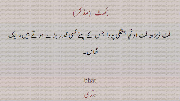 فٹ ڈیڑھ فٹ اون٘چا جن٘گلی پودا جس کے پتٹے کسی قدر بڑے ہوتے ہیں ۲۔ ایک گھاس
