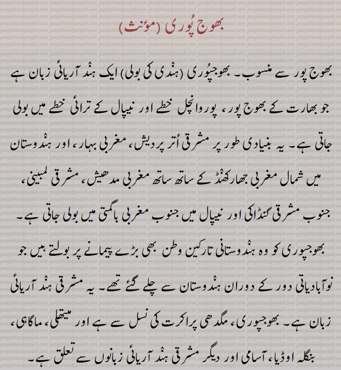 بھوجپوری (ہنٛدی کی بولی) ایک ہنٛد آریائی زبان ہے جو بھارت کے بھوجپور،  پوروانچل  خطے اور نیپال کے ترائی  خطے میں بولی جاتی ہے۔ یہ بنیادی طور پر مشرقی اتر پردیش، مغربی بہار، اور ہنٛدوستان میں شمال مغربی جھارکھنٛڈ کے ساتھ ساتھ مغربی مدھیش، مشرقی لمبینی، جنوب مشرقی گنڈاکی اور نیپال میں جنوب مغربی باگمتی میں بولی جاتی ہے۔  بھوجپوری کو وہ ہنٛدوستانی تارکین وطن  بھی بڑے پیمانے پر بولتے ہیں جو نوآبادیاتی دور کے دوران ہنٛدوستان سے  چلے گئے تھے۔ یہ مشرقی ہنٛد آریائی زبان ہے۔ بھوجپوری مگدھی پراکرت کی نسل سے ہے اور میتھلی ، ماگاہی ، بنگلہ اوڈیا ، آسامی اور دیگر 
 ਭੋਜਪੁਰੀمشرقی ہنٛد آریائی زبانوں سے تعلق ہے۔ 