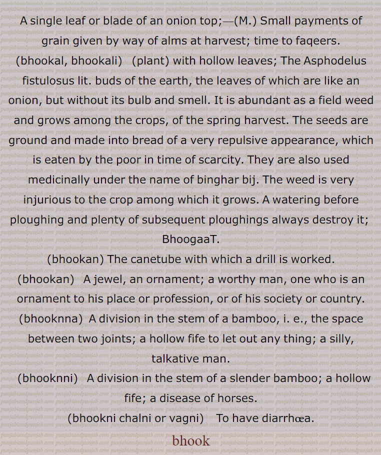 bhook  ,ਭੂਕ, bhookal,  ਭੂਕਲ, bhookali,   ਭੂਕਲੀ ,bhookan,  ਭੂਕਨ , bhookan, ਭੂਖਣ, bhooknna,  ਭੂਕਣਾ, bhooknni,  ਭੂਕਣੀ,A single leaf or blade of an onion top;, Small payments of grain given by way of alms at harvest; time to faqeers.,bhookal, bhookali,plant, with hollow leaves; The Asphodelus fistulosus lit. buds of the earth, the leaves of which are like an onion, but without its bulb and smell. It is abundant as a field weed and grows among the crops, of the spring harvest. The seeds are ground and made into bread of a very repulsive appearance, which is eaten by the poor in time of scarcity. They are also used medicinally under the name of binghar bij. The weed is very injurious to the crop among which it grows. A watering before ploughing and plenty of subsequent ploughings always destroy it;  BhoogaaT.,bhookan, The canetube with which a drill is worked., bhookan,A jewel, an ornament; a worthy man, one who is an ornament to his place or profession, or of his society or country.,bhooknna, A division in the stem of a bamboo, i. e., the space between two joints; a hollow fife to let out any thing; a silly, talkative man.,bhooknni,   A division in the stem of a slender bamboo; a hollow fife; a disease of horses.,bhookni chalni or vagni, To have diarrhoea.,bhook,