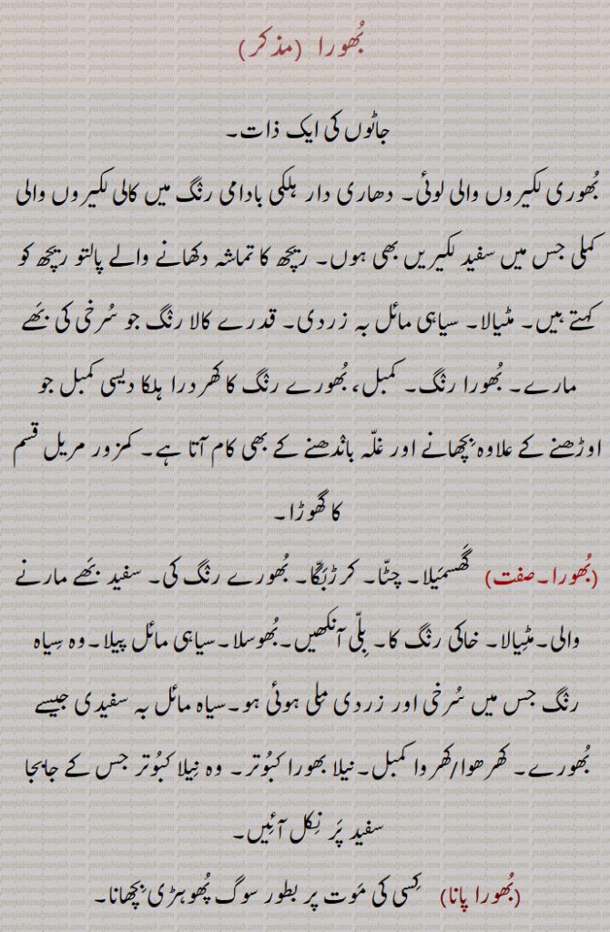 لکیروں والی کملی جس میں سفید
, بھورا, بھوول, بھورا جوان, بھورو, بھورل, بھورا ریچھ, بھورا گھتنا, بھورا پانا,
 لکیریں بھی ہوں, ریچھ کا تماشہ دکھانے والے پالتو ریچھ کو کہتے ہیں, مٹیالا, سیاہی مائل بہ زردی, قدرے کالا رنگ جو سرخی کی بھے مارے, بھورا رنگ, کمبل، بھورے رنگ کا کھردرا ہلکا دیسی کمبل جو اوڑھنے کے علاوہ بچھانے اور غلہ باندھنے کے بھی کام آتا ہے, کمزور مریل قسم کا گھوڑا,بھورا,  گھسمیلا, چٹا, کرڑبگا, بھورے رنگ کی, سفید بھے مارنے والی,مٹیالا, خاکی رنگ کا, بلی آنکھیں,بھوسلا,سیاہی مائل پیلا,وہ سیاہ رنگ جس میں سرخی اور زردی ملی ہوئی ہو,سیاہ مائل بہ سفیدی جیسے بھورے, کھرھوا/کھروا کمبل,نیلا بھورا کبوتر, وہ نیلا کبوتر جس کے جابجا سفید پر نکل آئیں,بھورا پانا,   کسی کی موت پر بطور سوگ پھوہڑی بچھانا,بھورا گھتنا,  افسوس میں بیٹھنے کے لیے کمبل, دری وغیرہ بچھانا, بھورا ریچھ,   ریچھ کی ایک قسم جو مٹیالے رنگ کا ہوتا ہے , Urus arctos,,بھورل,   گورے رنگ والا، بھورا مجازاً محبوب,بھورو, بھورے رنگ کا آدمی, ککا بھورا,بھورا, بھولا, سادہ,بھورا جوان,  ریچھ مداریوں کی اصطلاح,بھورا لال, دھوپ میں جھلسی ہوئی جلد جیسا رنگ,بھوول, بھورے رنگ کا محبوب,