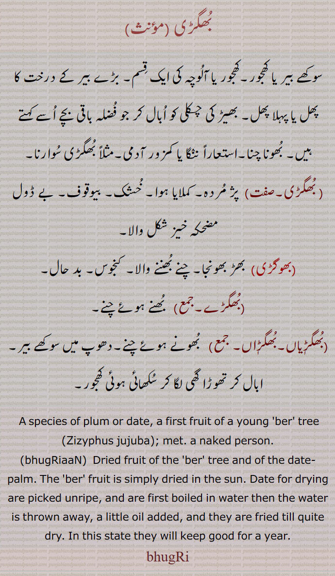  بھگڑی, خشک, بھوگڑی,  بھگڑے,بھگڑیاں,بھگڑاں, سوکھے بیر, سوکھی کھجور, کھجور یا آلوچہ کی قسم۔ طھیڑ کی چکلی۔ بھونا چنا۔ کمزور آدمی۔ بیوقوف۔  بے ڈول۔ ننگا آدمی۔بھڑبھونجا۔ چنے بھوننے والا کنجوس۔ بد حال۔ بھنے چنے۔ دھوپ میں سوکھے بیر۔ گھی لگی کھجور۔
Zizyphus jujuba, bhugri,bhogri,bhoogri , ਭੁਗਡ਼ੀ,bhugriaan,bhugrian,A species of plum or date, a first fruit of a young ber tree (Zizyphus jujuba); met. a naked person. dried fruit of ber or date. date boiled in water and fried with little oil, keep good for a year. 