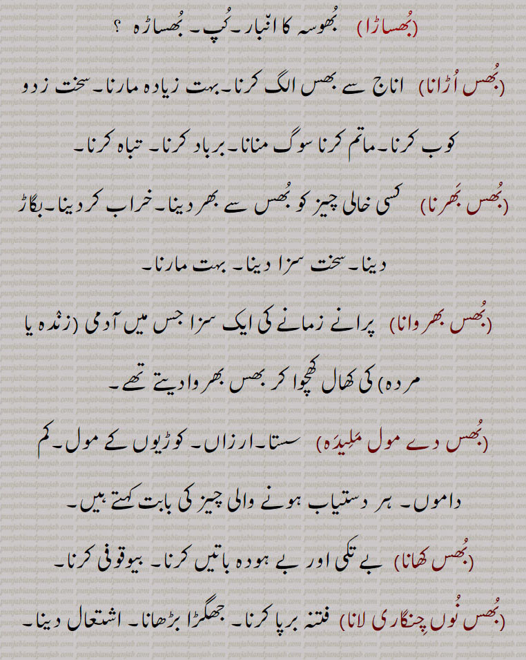   پرانے زمانے کی ایک سزا جس میں آدمی ۔زنٛدہ یا مردہ۔ کی کھال کھچوا کر بھس بھروادیتے تھے،بُھس دے مول مَلِیدَہ۔   سستا۔ارزاں۔ کوڑیوں کے مول۔کم داموں۔ ہر دستیاب ہونے والی چیز کی بابت کہتے ہیں،بُھس کھانا۔  بے تکی اور بے ہودہ باتیں کرنا۔ بیوقوفی کرنا،بُھس نُوں چِنگاری لانا۔  فتنہ برپا کرنا۔ جھگڑا بڑھانا۔ اشتعال دینا،بِھس،  بِھسنا سے،بِھس، بد دِل،ڈرپوک۔ناکام،بِھس پووَنا۔   ناکام رہنا۔ منزل پر نہ پہنچنا۔ بے دم ہو جانا۔خاک چھاننا،بِھسنا۔   بے دَم ہونا۔ ناکام ہونا۔ ند دِل ہونا،بِھس۔۔  کن٘ول۔ پُھول کی نالی یا جَڑ۔ بھیں۔ بِھیسا۔