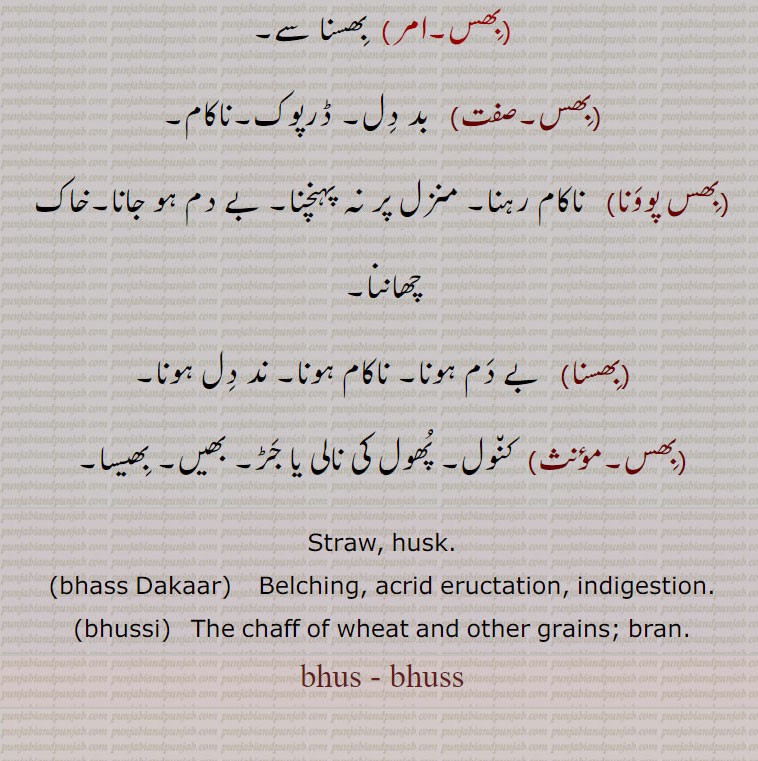 Straw, husk.۔bhass Dakaar۔    Belching, acrid eructation, indigestion.۔bhussi۔   The chaff of wheat and other grains; bran.bhus - bhuss ۔  بھس , bhusط bhuss , ਭਸੱ, bhussi, ਭੁੱਸੀ,bhass Dakaar, بھسی,بھسیرا,بھس ۔
ڈکار,بھساڑا,بھس اڑانا,بھس بھرنا,بھس بھروانا,بھس دے مول ملیدہ,بھس کھانا,بھس نوں چنگاری لانا,بھس,بھس پوونا,بھسنا, 