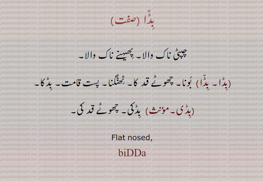 بڈا,bidda,بڈا,بڈی, ਬਿੱਦਾ ,بِڈّا   ,چپٹی ناک والا۔ پِھیہنے ناک والا۔ بِڈا۔ بِڈّا,  بَونا۔ چھوٹے قد کا۔ ٹِھنٛگنا۔ پست قامت۔ بِڈکا۔
 بِڈی, بِڈکی۔ چھوٹے قد کی۔,Flat nosed, bidda