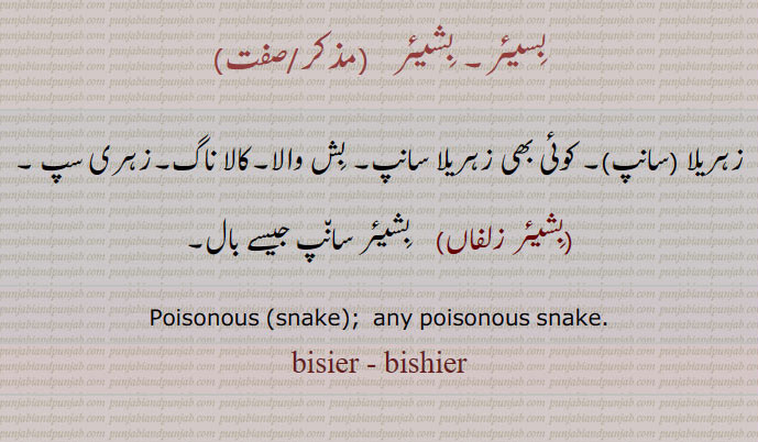 bisier, bishier,any poisonous snake , بسیئر, بشیئر,بسیئر زلفاں,بشیئر زلفاں,
. ਬਿਸੀਅਰ