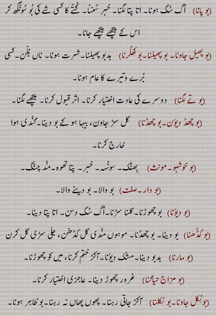 ۔بو پانا۔    اُگ سُگ ہونا۔ اتا پتا لگنا۔ خبر سُننا۔ کُتّے کا کسی شے کی بُو سُونٛگھ کر اس کے پیچھے پیچھے جانا۔۔بو پھیل جاونا۔ بو پھیلنا۔بو کھلّرنا۔    بدبو پھیلنا۔شہرت ہونا۔ ناں ہُلّن۔کسی بُرے وتیرے کا عام ہونا۔۔بو تے لگنا۔    دوسرے کی عادت اختیار کرنا۔ اثر قبول کرنا۔ پیچھے لگنا۔  ۔بو چھڈ دیوَن۔بو چھڈنا۔     گل سڑ جاون، بیہا ہو کے بو دینا۔گنٛدی ہوا خارج کرنا۔۔بو خوشبو۔مونث۔     بِھن٘ک۔ سون٘ہہ۔ خبر۔ پتا تھوہ۔منٛد چنٛگ۔
۔بو دار۔۔   بو والا۔ بو دینے والا۔۔بو دیوَنا/دینا۔   بو چھوڑنا۔گلنا سڑنا۔اُگ سُگ دسن۔ اتا پتا دینا۔۔بو کڈّھنا۔   بو دینا۔ بو چھڈنا۔ موہوں منٛدی گل کڈھّن، جلی سڑی گل کرن
۔بو مارنا۔    بدبو دینا۔مشک دیوَنا۔آکڑ ختم کرنا، میں کو چھوڑنا۔۔بو مزاج تیاگنا۔    غرور چھوڑ دینا۔ عاجزی اختیار کرنا۔۔بونِکل جاونا۔بو نکلنا۔    آکڑ جاتی رہنا۔ پھوں پھاں نہ رہنا۔بو ظاہر ہونا۔