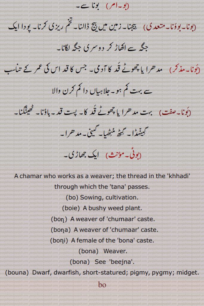 ۔بو۔امر۔    بونا سے۔۔بونا۔بووَنا۔متعدی۔    بِیجنا۔زمین میں بِیج ڈالنا۔تخم ریزی کرنا۔ پودا ایک جگہ سے اکھاڑ کر دوسری جگہ لگانا۔۔بَونا۔۔    مدھرا یا چھوٹے قَد کا آدمی۔ جس کا قد اس کی عمر کے تناسب سے بہت کم ہو۔جلاہیاں دا کم کرن والا۔۔بَونا۔۔    بہت مدھرا یا چھوٹے قَد کا۔ پست قد۔باؤنا۔ ٹھینٛگنا۔ گِین٘ہڈا۔ گِٹھ مُٹِھیا۔ گینی۔مدھرا۔۔بوئی۔۔    ایک جھاڑی۔A chamar who works as a weaver; the thread in the 'khhadi' through which the 'tana' passes.۔bo۔ Sowing, cultivation.۔boie۔  A bushy weed plant. ۔bon۔  A weaver of 'chumaar' caste.   ۔bona۔  A weaver of 'chumaar' caste.۔boni۔  A female of the 'bona' caste. ۔bona۔   Weaver.۔bona۔   See  'beejna'.۔bouna۔  Dwarf, dwarfish, short-statured; pigmy, pygmy; midget.bo،ਬੋ,ਬੂਈ,ਬੋਣਾ,ਬੋਣੀ,ਬੀਜਣਾ,ਬੌਣਾ,