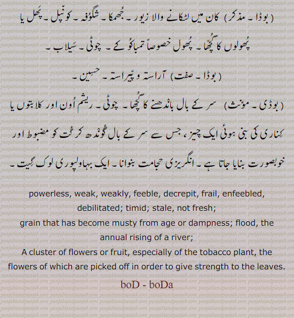 بوڈ۔ بوڈا۔ بوڈی۔ بوڈنا۔
 بوڈھ,بوڈاں, بوڈ, بوڈا, بوڈی ,بوڈنا,boD, ਬੋਡ, boDa, ਬੋਡਾ
کان میں لٹکانے والا زیور۔ جھمکا۔ شگوفہ۔ کونپل۔ پھل یا پھولوں کا گچھا۔ پھول خصوصاً تمباکو کے۔ چوٹی۔ سیلاب۔ آراستہ و پیراستہ۔ حسین۔ سر کے بال باندھنے کا گچھا۔ چوٹی۔ ریشم اون اور کلابتوں یا کناری کی بنی ہوئی ایک چیز۔ جس سے سر کے بال گوندھ کر گُت کو مضبوط اور خوبصورت بنایا جاتا ہے۔ انگریزی حجامت بنوانا۔ ایک بہاولپوری لوک گیت۔ .poweriess. weak. weakly. feeble. decrept. frail. enfeebled. debilitated. timed. stale. not freash. grain that has become musty from age or dampness. flood. the annual rising of a river. a sluster of flowers or fruit. especially of the tobacco plant. the flowers of which aree picked off in order to give strength to the leaves, bod. bods.