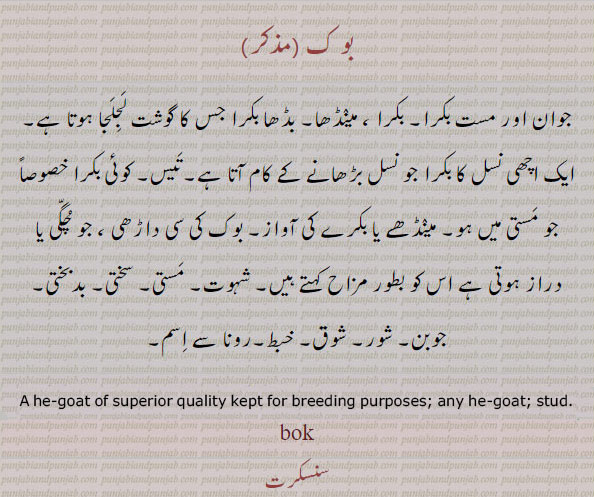بوک,بوق,bok,booq,book,ਬੋਕ, stud، A he-goat of superior quality kept for breeding purposes; any he-goat. جوان ۔ مست بکرا۔ مینڈھا۔ بڈھا بکرا۔ اچھی نسل کا بکرا۔ جو نسل بڑھانے کا کام کرے۔ تیس۔ مینڈھے کی آواز بکرے کی آواز۔ بوک کی داڑھی۔ شہوت۔ مستی۔ سختی۔ بد بختی۔ جوبن۔ شور۔ شوق۔ خبط۔ رونا سے