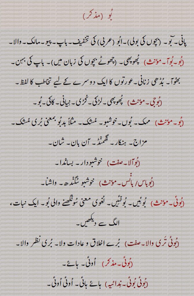 بُو  ۔پانی۔ بٓو۔ ۔بچوں کی بولی۔۔ابُو ۔عربی۔ کی تخفیف۔باپ۔پیو۔مالک۔والا۔
۔بُو۔بُوآ۔مؤںث۔   پُھوپھی۔ ۔چھوٹے بچوں کی زبان میں۔۔ باپ کی بہن۔ بھُوآ۔ بُڈھی زنانی۔عورتوں کا ایک دوسرے کے لیے تخاطب کا لفظ۔۔بُوجی۔۔   پُھوپھی۔لڑکی۔کُڑی۔نِیانی۔کاکی۔بُو۔۔بُو۔مؤںث۔   مہک۔ بُوں۔خوشبو۔ مُشک۔ مثلاً بدبُو بمعنی بُری مُشک۔ مزاج۔ ہنکار۔ گھمنٛڈ۔ آن بان۔ شان۔۔بُوآلا۔۔   خوشبودار۔ بسانٛدا۔۔بُوباس/ بان٘س۔۔   خوشبو سُگنٛدھ۔ واشنا۔۔بُوئی۔۔   بُوئِیں۔ بُون٘ئِیں۔ لُغوی معنی سُونٛگھنے والی بُو۔ ایک نبات، الگ سے دیکھیں۔۔بُوئی تَری والا۔۔   بُرے اخلاق و عادات ولا۔ بُری نظر والا۔۔بُوئی۔۔    اُوئی۔ ہائے۔۔بُوئی بُوئی۔نِدائیہ۔  ہائے ہائی۔ اُوئی اُوئی۔