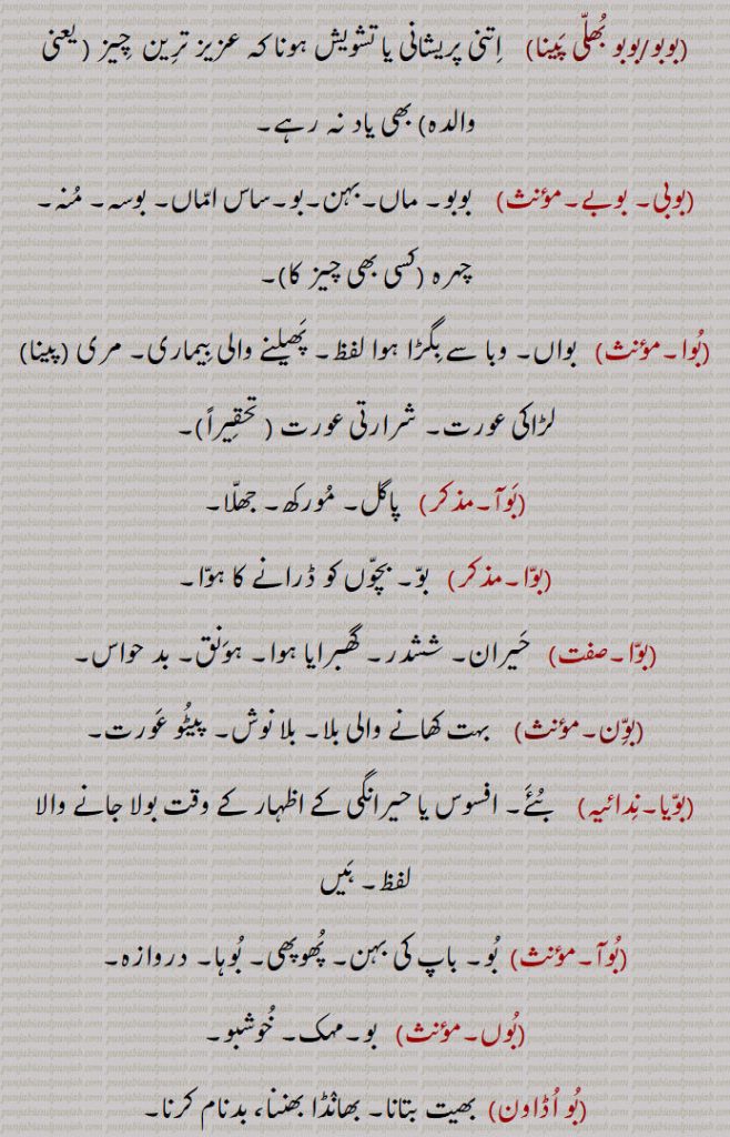 ۔بوبو/بوبو بُھلّی پَینا۔    اِتنی پریشانی یا تشویش ہونا کہ عزیز ترِین  چِیز ۔ یعنی والدہ۔ بھی یاد نہ رہے۔۔بوبی۔ بوبے۔۔    بوبو۔ ماں۔بہن۔بو۔ساس امّاں۔ بوسہ۔ مُنہ۔ چہرہ ۔کسی بھی چیز کا۔۔بُوا۔مؤںث۔   بواں۔ وبا سے بِگڑا ہوا لفظ۔ پَھیلنے والی بِیماری۔ مری ۔پینا۔ لڑاکی عورت۔ شرارتی عورت ۔ تحقِیراً۔۔۔بَوآ۔۔   پاگل۔ مُورکھ۔جھلّا۔۔بوّا۔۔   بوّ۔ بچّوں کو ڈرانے کا ہوّا۔۔بوّا۔۔   حَیران۔ ششدر۔ گھبرایا ہوا۔ ہوَنق۔ بد حواس۔۔بوِّن۔۔    بہت کھانے والی بلا۔ بلا نوش۔ پیٹُو عَورت۔۔بوّیا۔نِدائیہ۔    بُئَے۔ افسوس یا حیرانگی کے اظہار کے وقت بولا جانے والا لفظ۔ ہَیں
۔بُوآ۔۔  بُو۔ باپ کی بہن۔ پُھوپھی۔ بُوہا۔ دروازہ۔۔بُوں۔۔   بو۔مہک۔ خُوشبو۔۔بُو اُڈاون۔  بھیت بتانا۔ بھانٛڈا بھننا، بدنام کرنا۔۔ بُوآ بھتریئی ہِکّا، لوک پرایا پھِکّا۔   
