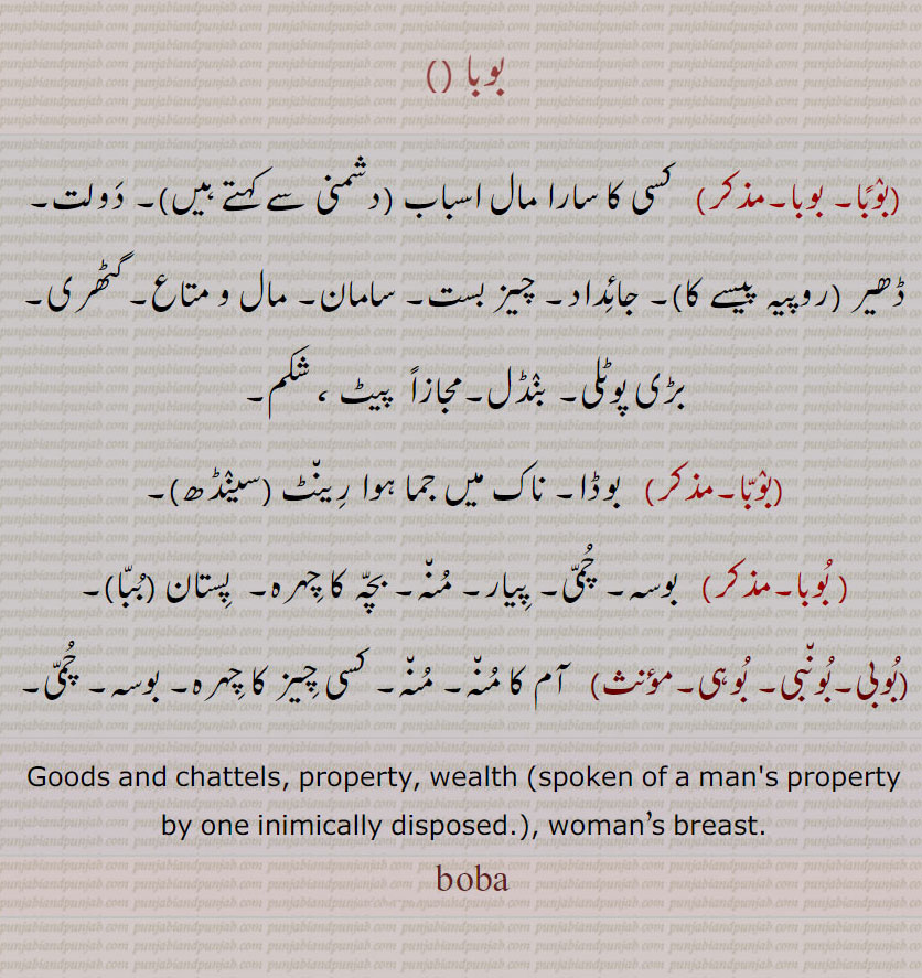 booba ,boba, bobba , ਬੋਬਾ, ਬੋਬਾੱ , بوبا ,,بوبی,بونبی, بوہی,بوبا
 کسی کا سارا مال اسباب (دشمنی سے کہتے ہیں)۔ دَولت۔ ڈھیر (روپیہ پیسے کا)۔ جائِداد۔ چیز بست۔ سامان۔ مال و متاع۔گٹھری۔ بڑی پوٹلی۔ بنٛڈل۔مجازاً  پیٹ ، شکم۔
بوٛبّا۔ بوڈا۔ ناک میں جما ہوا رِین٘ٹ ۔سینٛڈھ۔ بُوبا۔ بوسہ۔ چُمّی۔ پِیار۔ مُن٘ہ۔ بچّہ کا چِہرہ۔  پِستان ۔بُبّا ۔بُوبی۔بُون٘بی۔ بُوہی۔ آم کا مُن٘ہ۔ مُن٘ہ۔ کسی چِیز کا چِہرہ۔ بوسہ۔ چُمّی۔, Goods and chattels, property, wealth (spoken of a man's property by one inimically disposed.), woman’s breast. 