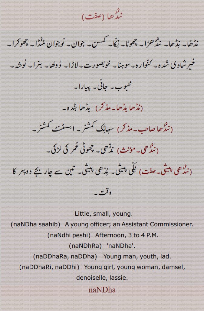 ننٛڈھا۔نڈھّا۔ نِڈھا۔ ننٛڈھڑا۔ چھوٹا۔ نِکّا۔ کمسن۔ ۔جوان۔ نوجوان مُنٛڈا۔ چھوکرا۔ غیرشادی شدہ۔ کنوارہ۔سوہنا۔ خوبصورت۔لاڑا۔ دُولھا۔ بنرا۔ نوشہ۔ محبوب۔ جانی۔ پیارا۔نڈھا بڈھا۔ بڈھا بنٛدہ۔ننٛڈھا صاحب۔  سہائِک کمشنر۔ اسِسٹنٹ کمشنر۔ننٛڈھی۔ نڈّھی۔ چھوٹی عُمر کی لڑکی۔ننٛڈھی پیشی۔ نِکّی پیشی۔ نِڈھی پیشی۔ تین سے چار بجے دوپہر کا وقت۔  Little, small, young.۔naNDha saahib۔   A young officer; an Assistant Commissioner.۔naNdhi peshi۔   Afternoon, 3 to 4 P.M.۔naNDhRa۔naNDha۔naDDhaRa, naDDha۔  ਨੱਢੜਾ , ਨੱਢਾ  ۔Young man, youth, lad.۔naDDhaRi, naDDhi۔   ਨੱਢੜੀ , ਨੱਢੀ ۔Young girl, young woman, damsel, denoiselle, lassie.۔naNDha ۔ nandha,  ਨੰਢਾ۔