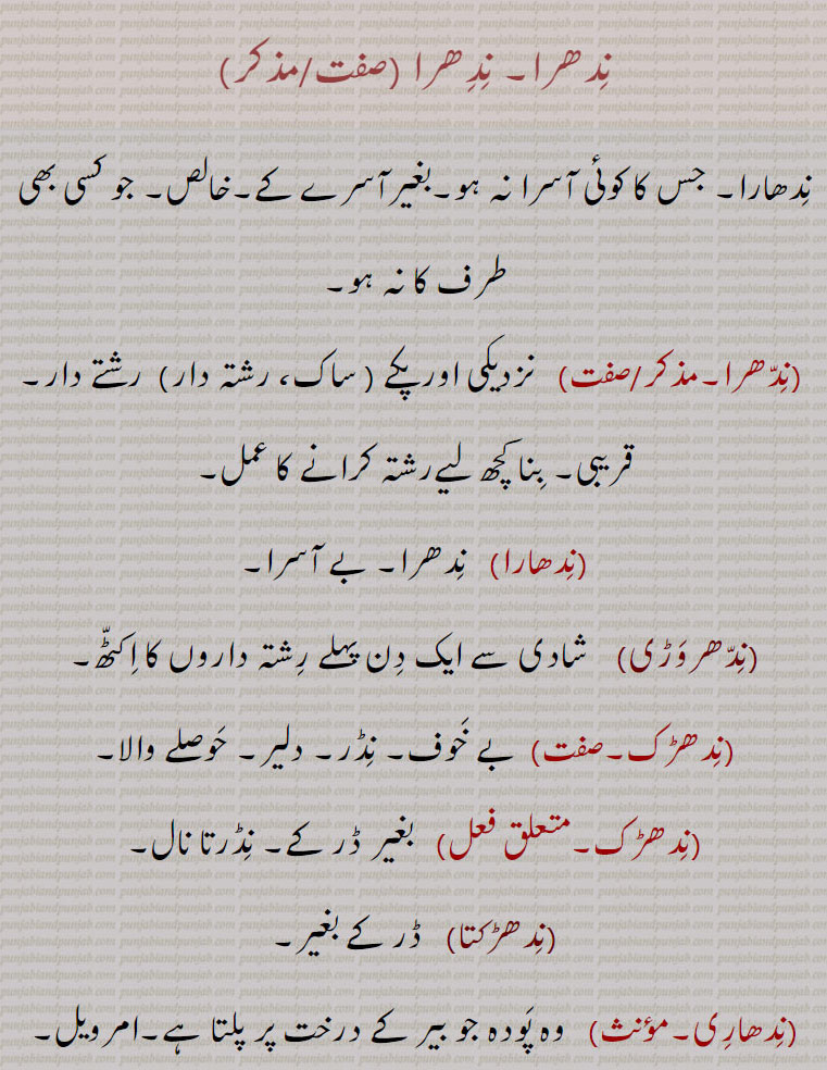 ندھرا,nidhra , nidhira, nidhark, ਨਿਧਡ਼ਕ,nidhaara,niddhra,nidhaari, ਨਿਧਾਰੀ, ਨਿਧੜਕਤਾ, ਨਿਧੜਕ, ਨਿੱਦਧਰਵੜੀ, ਨਿਧਾਰਾ, ਨਿੱਦਧਰਾ,ਨਿਧਰਾ, ਨਿਧਿਰਾ. ندھاری, ندھڑک,ندھڑکتا,ندھارا, ندھروڑی,
