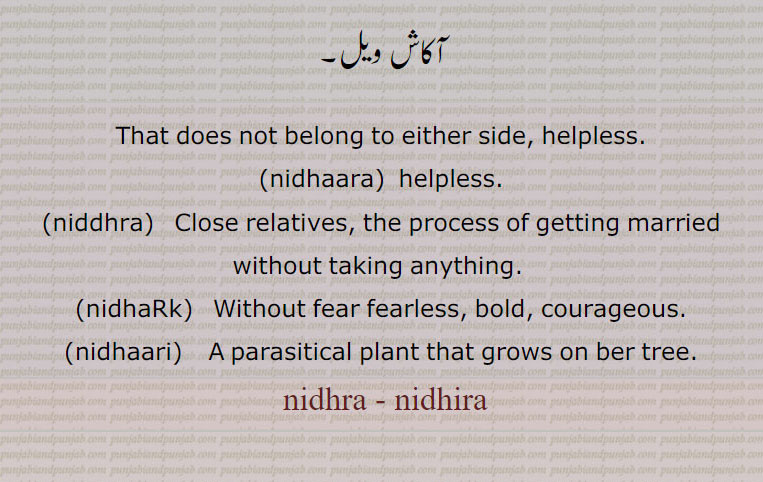 ندھرا,nidhra , nidhira, nidhark, ਨਿਧਡ਼ਕ,nidhaara,niddhra,nidhaari, ਨਿਧਾਰੀ, ਨਿਧੜਕਤਾ, ਨਿਧੜਕ, ਨਿੱਦਧਰਵੜੀ, ਨਿਧਾਰਾ, ਨਿੱਦਧਰਾ,ਨਿਧਰਾ, ਨਿਧਿਰਾ. ندھاری, ندھڑک,ندھڑکتا,ندھارا, ندھروڑی,
helpless. close relative. dose not belong to either side, bold, fear fearless.parasitical plant. close relatives